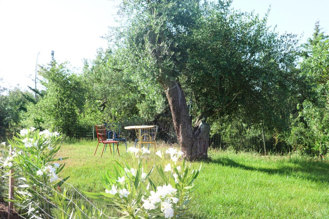 Essos Villas Dhërmi Exteriör bild